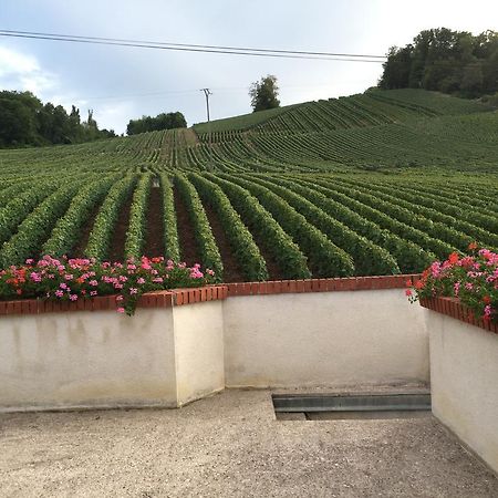 La Loge Du Vigneron Vauciennes (Marne) Exterior foto